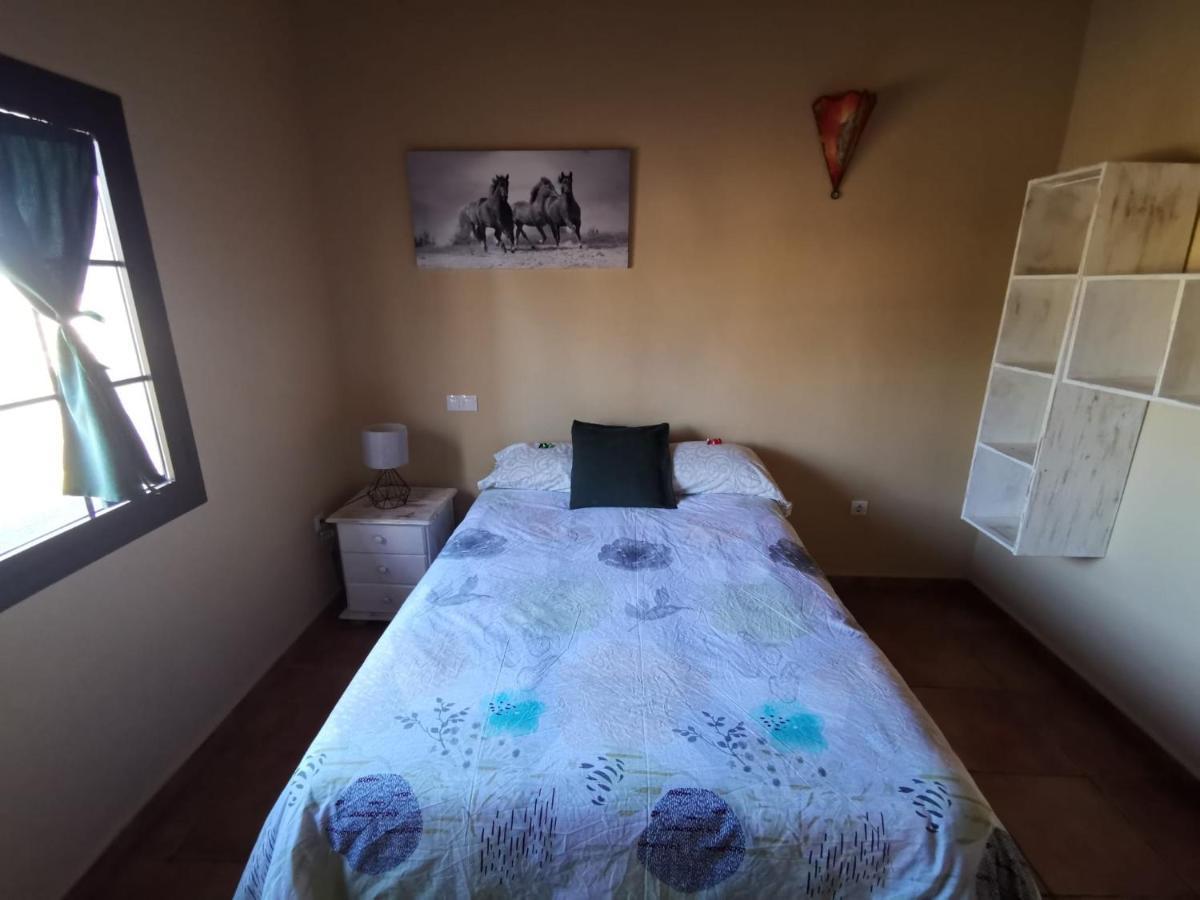 הוילה לה אוליבה Magic House מראה חיצוני תמונה