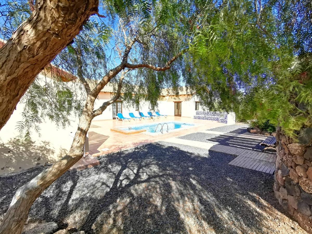 הוילה לה אוליבה Magic House מראה חיצוני תמונה